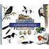 Kijken naar vogels
