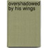 Overshadowed By His Wings