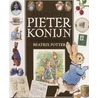 Alles over Pieter Konijn
