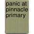 Panic At Pinnacle Primary