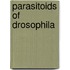 Parasitoids Of Drosophila