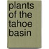 Plants Of The Tahoe Basin
