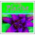 Plants of the Rain Forest