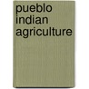 Pueblo Indian Agriculture by James A. Vlasich