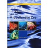 Vissen & ongewervelde dieren van de Middellandse Zee