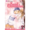 Sand Chronicles, Volume 2 by Hinako Ashihara