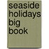 Seaside Holidays Big Book