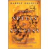 Simple Spells for Success by Barrie Dolnick