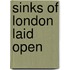 Sinks Of London Laid Open