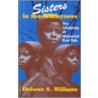 Sisters In The Wilderness by Delores Williams
