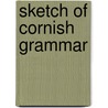 Sketch Of Cornish Grammar door Edwin Norris
