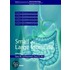 Small And Large Intestine