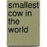 Smallest Cow in the World