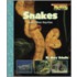 Snakes And Other Reptiles