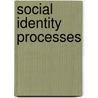 Social Identity Processes door Onbekend