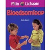 Bloedsomloop