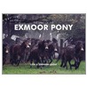 Spirit Of The Exmoor Pony door Shanan Leigh