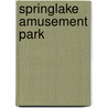 Springlake Amusement Park by Douglas Loudenback