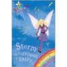 Storm The Lightning Fairy door Mr Daisy Meadows