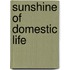 Sunshine of Domestic Life