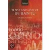 Tense & Aspect In Bantu C door Derek Nurse