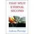 That Split Eternal Second