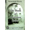 The Book of Common Belief door Patrick Doucette