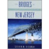 The Bridges of New Jersey door Steven M. Richman