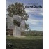 The Fields Of David Smith