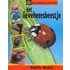 Lieveheersbeestje