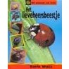 Lieveheersbeestje