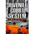 The Juvenile Court System