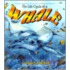 The Life Cycle Of A Whale