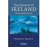 The Literature Of Ireland door Terence Brown
