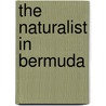 The Naturalist In Bermuda door John Matthew Jones