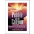 The Pebble and the Canyon