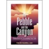 The Pebble and the Canyon door Felix M. Scardino