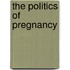 The Politics Of Pregnancy