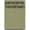 Panorama Mondriaan door R. Fuchs
