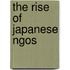 The Rise Of Japanese Ngos