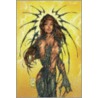 The Witchblade Compendium by Paul Jenkins