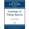 Topology Of Tiling Spaces door Lorenzo Adlai Sadun