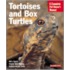 Tortoises and Box Turtles