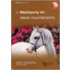De Welshpony en Welsh mountainpony