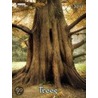 Trees 2011 Decor Calendar by Unknown