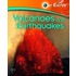 Volcanoes And Earthquakes