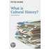 What Is Cultural History?