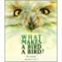 What Makes a Bird a Bird?