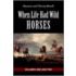 When Life Had Wild Horses