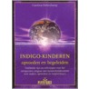 Indigo-kinderen opvoeden en begeleiden by C. Hehenkamp